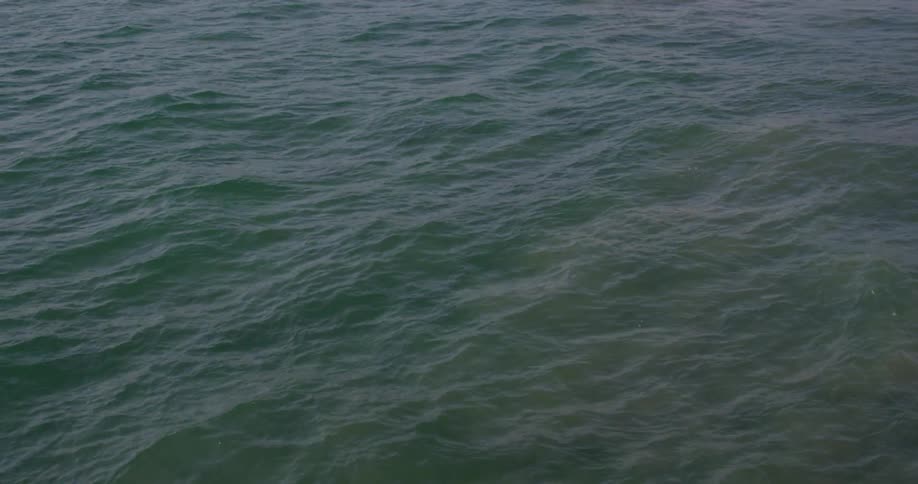 Waves ripple on a body of water