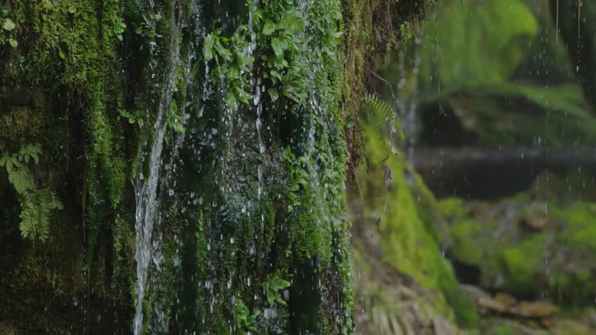 Tight slow motion shot where the camera tilts down showing water cascading down a moss covered rock face to the valley floor below
