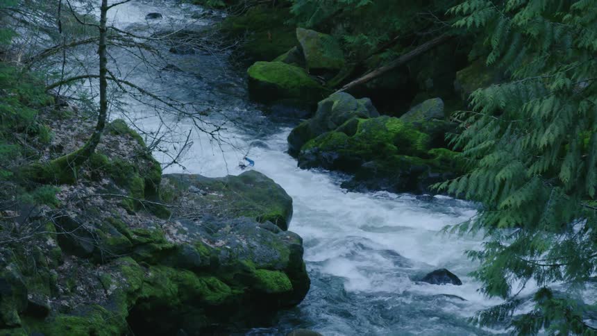A man in a red whitewater kayak rides down intense whitewater rapids in a mossy green river canyon corridor in the Pacific Northwest