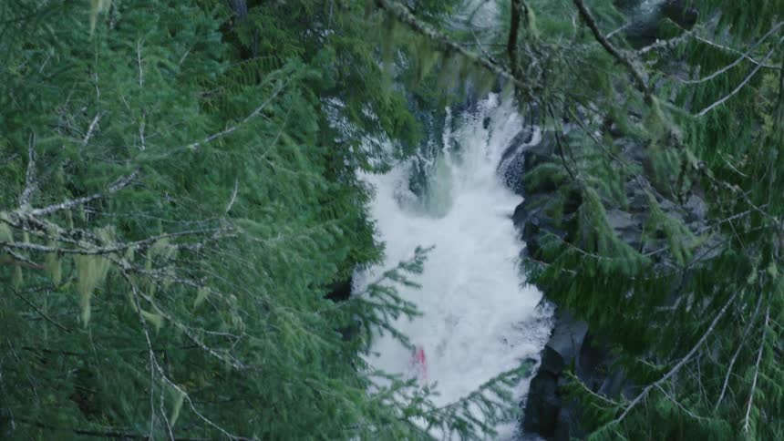 Looking through mossy tree branches from high above we see a man in a red whitewater kayak descending a double drop waterfall
