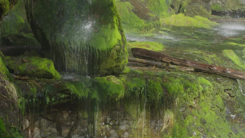 Slow motion shot of water cascading onto a moss covered rock deep in the forest in the wilds of the old growth forest