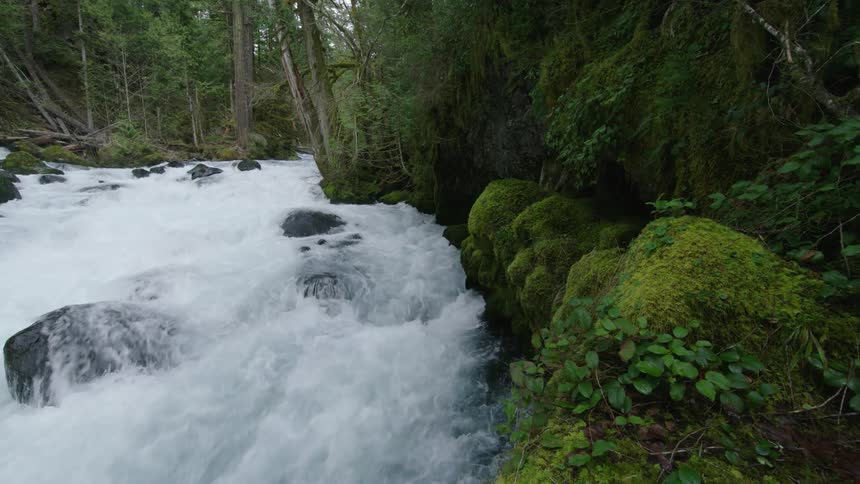 River water flowing over rapids in a forest in this static shot with a strong differentiating line of contrast