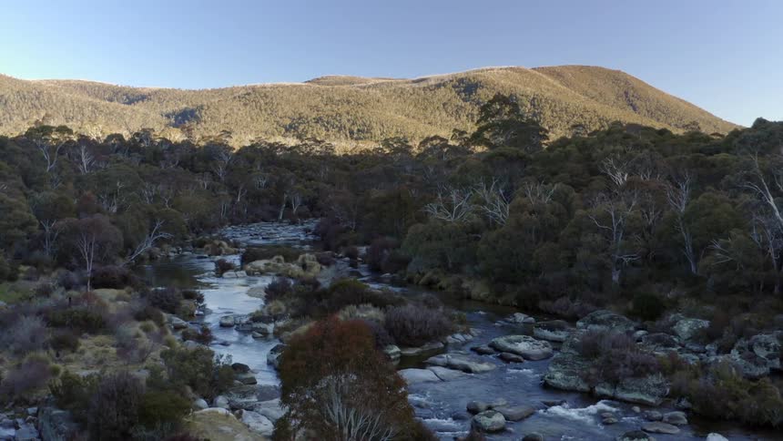 Aerial view of a river flowing throuhg a forest near a mountain in the morning
