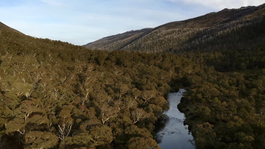 A landscaped with trees and a river with a mountain range the sky and clouds in the background