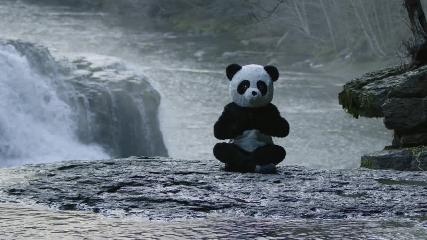 Mysteriously a magical Panda appeared on the edge of a large waterfall and opens its arms welcoming all into their special place