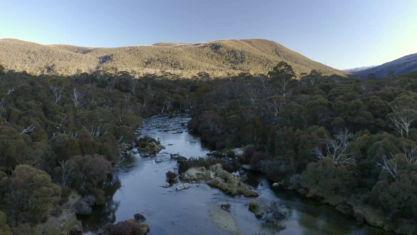 Aerial view of a river on a forest close to the mountains at morning