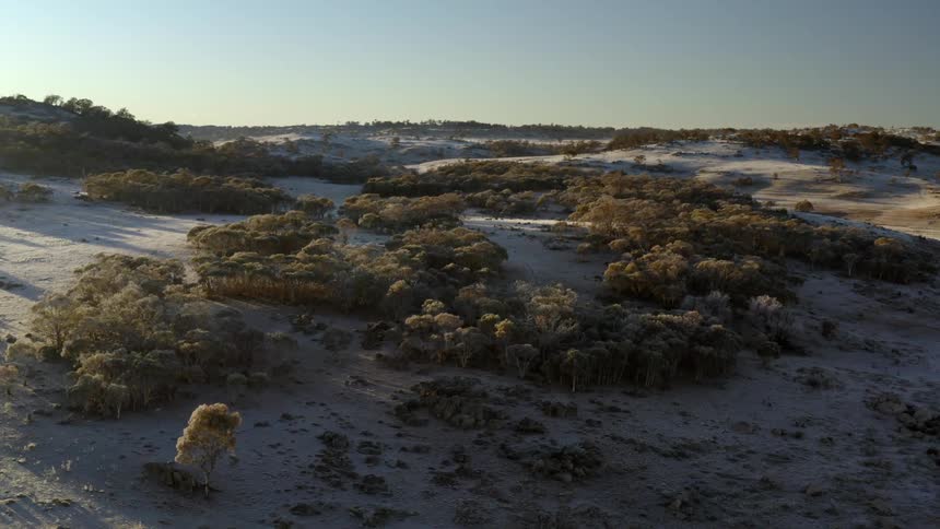 Parts of snowy hill and woods are lit by sunlight while others remain in shadow under clear sky