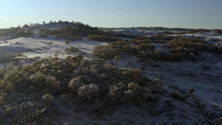 An aerial view of a landscape with sandy soil and bushes