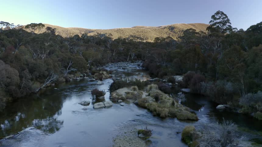 Large rocks fill river between forest covered banks before river forks