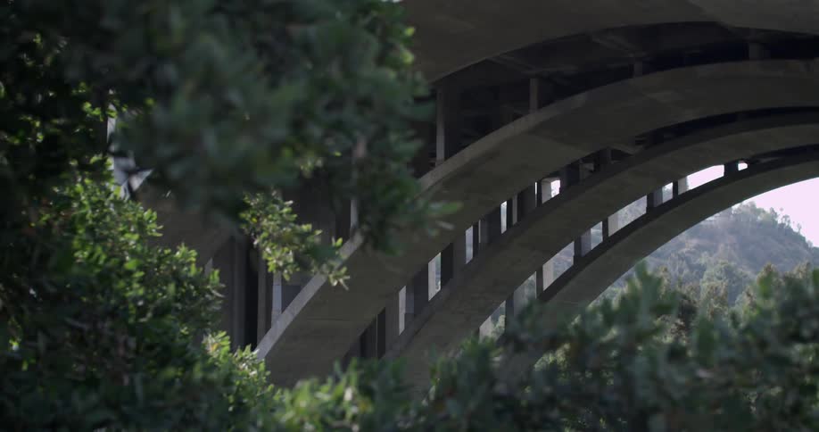 Tree branches sway in front of a massive concrete arched bridge