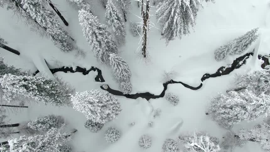 Winding stream running through a snow covered forest