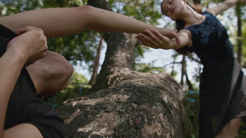A man and woman reaches out to each other as they dance on a tree trunk