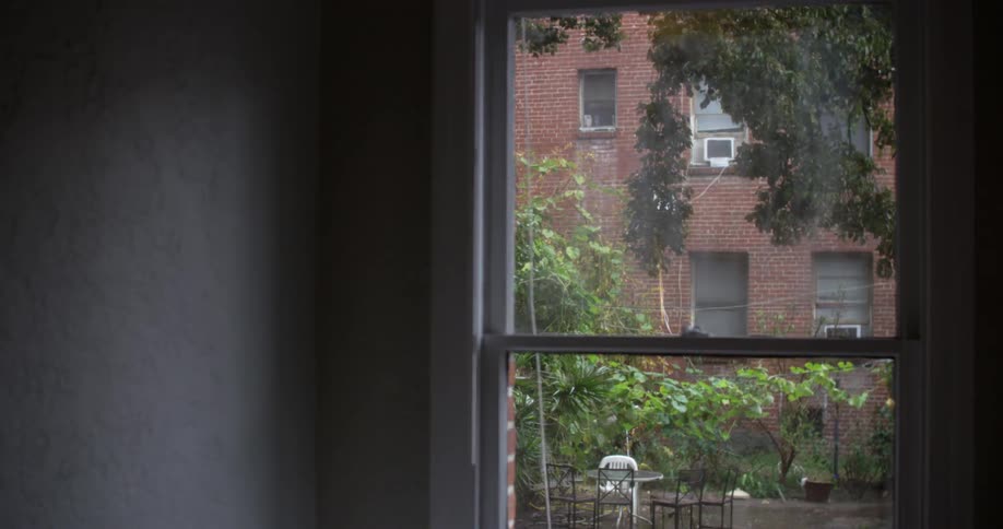 View of branches hanging outside a window