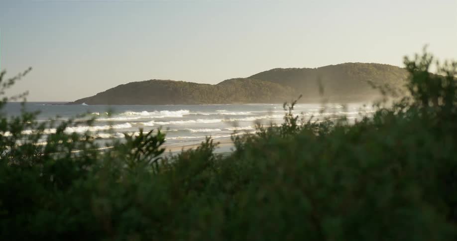 Waves crash onto the shore where trees in the wind