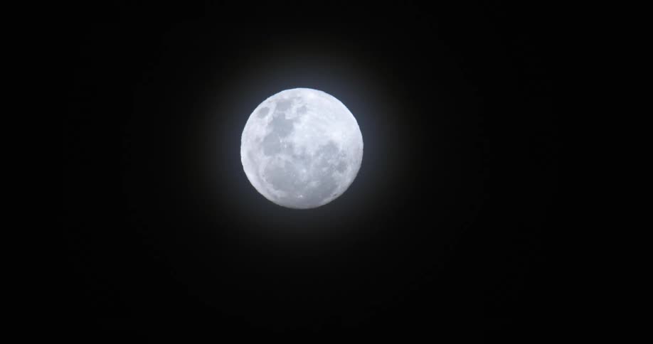 A silhouetted bat flying in front of a full moon at night