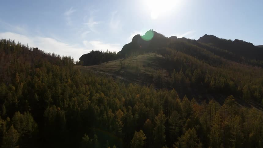 An aerial view of mountains and a forest