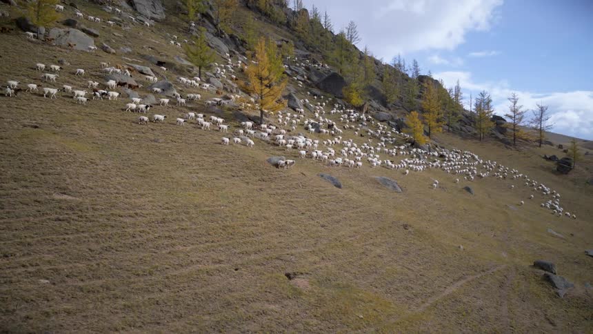 A landscape with a hill and sheep with trees the sky and clouds in the background