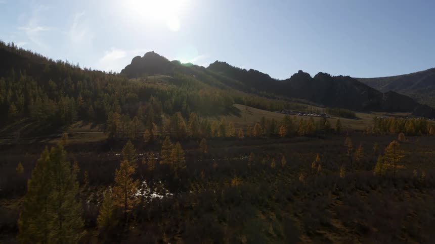 An aerial view of trees and mountains