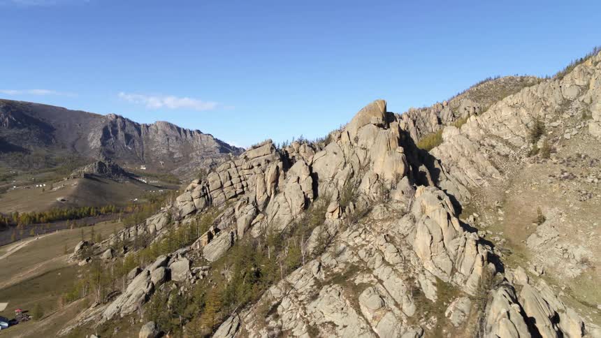 An aerial view of pine trees on a rocky mountainside in nature