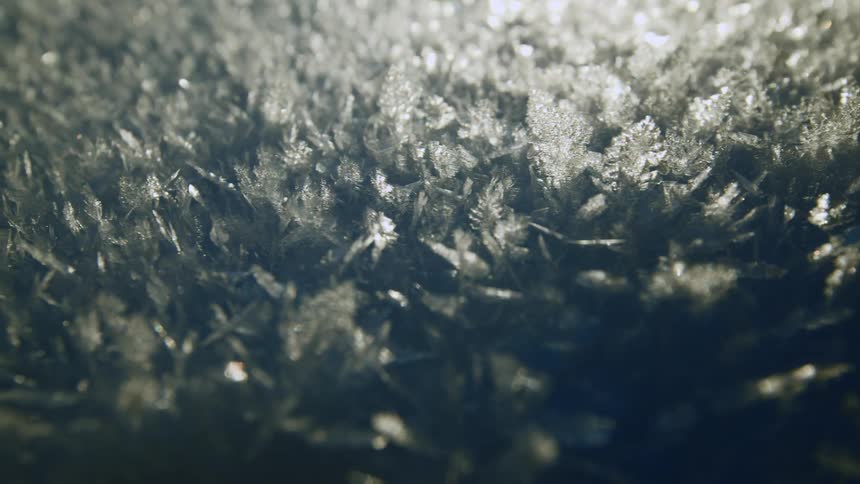 Frost on greenery on a grassland