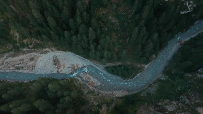 An aerial view of a river flowing through a pine forest