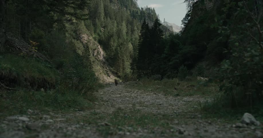 A shirtless man walks along a wide trail that runs through dense trees in a forest