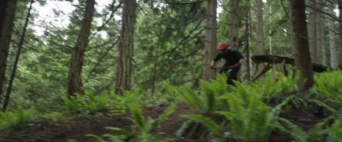 A cyclist rides a bike at high speed through a forest during the day