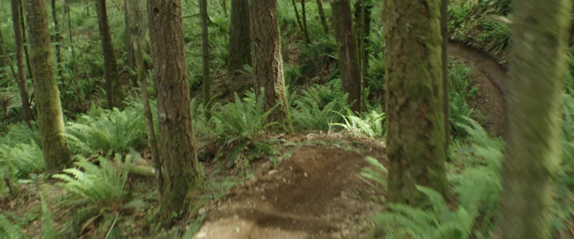 A cyclist is revealed biking along a narrow winding dirt trail at high speed in a forest during the day