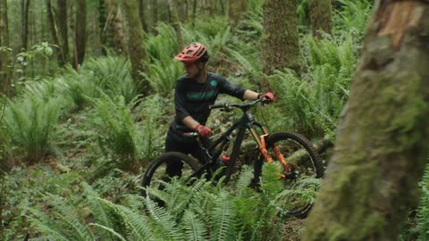 A man is pushing his bike uphill in a ferny forest area on a trail