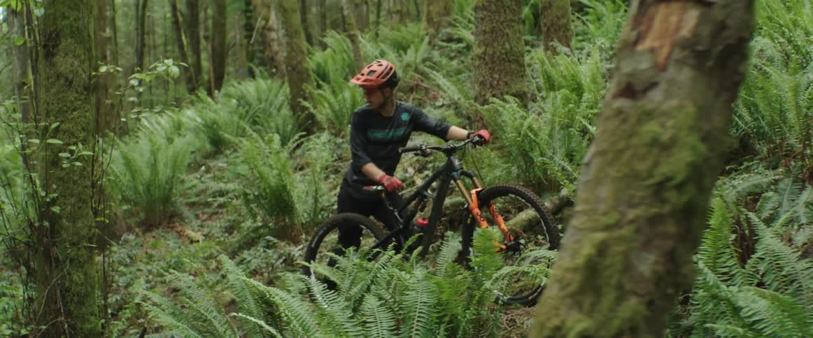A man is pushing his bike uphill in a ferny forest area on a trail