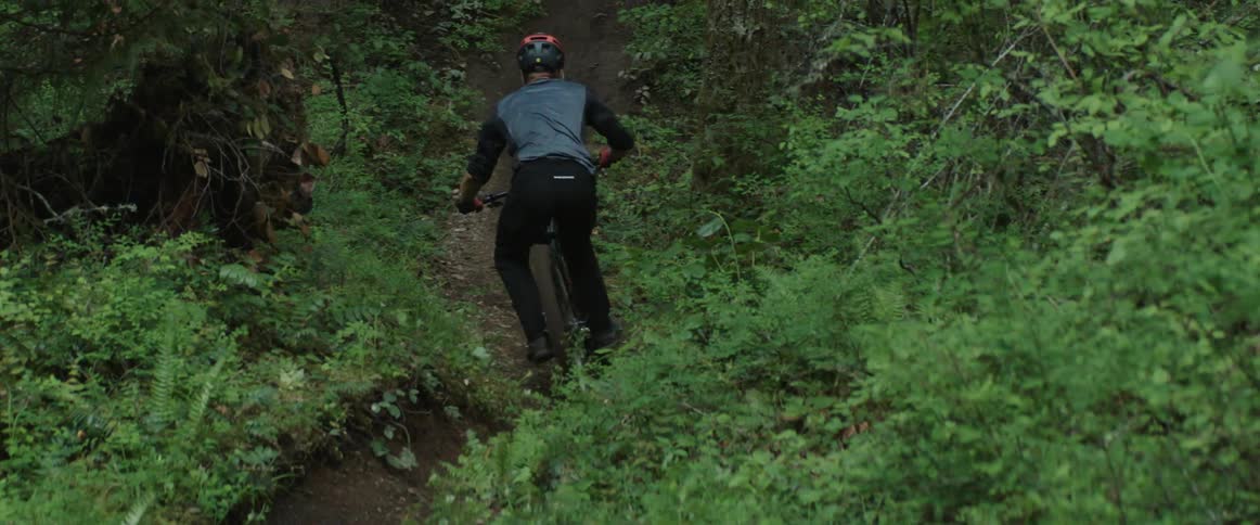 A mountain bike athlete appears from a jump and continues riding down ribbon of forest trail