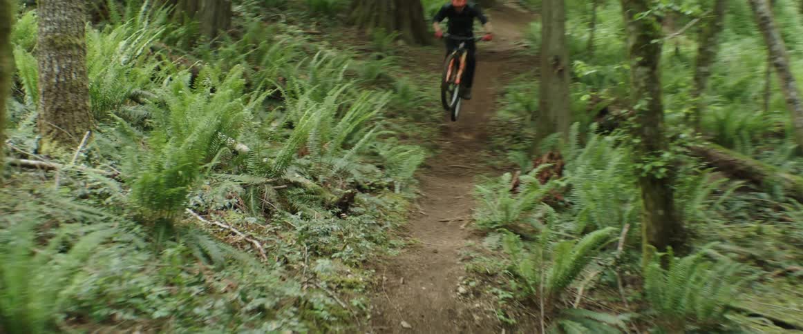 A mountain cyclist hits jumps while racing down dirt trail in a forest