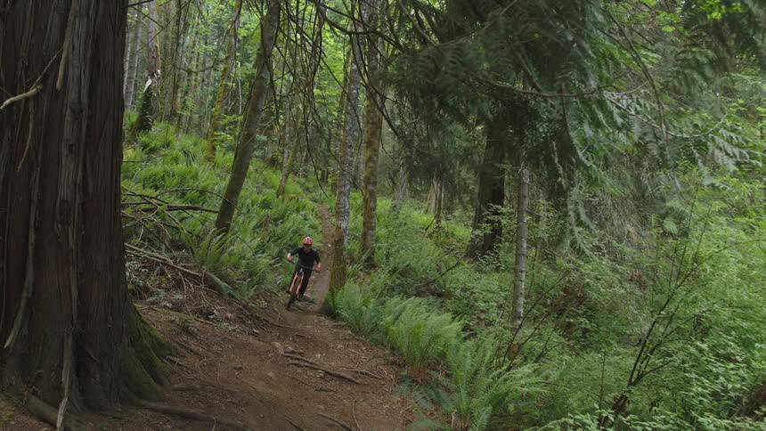 Man riding a bicycle down hill on a trail through the forest