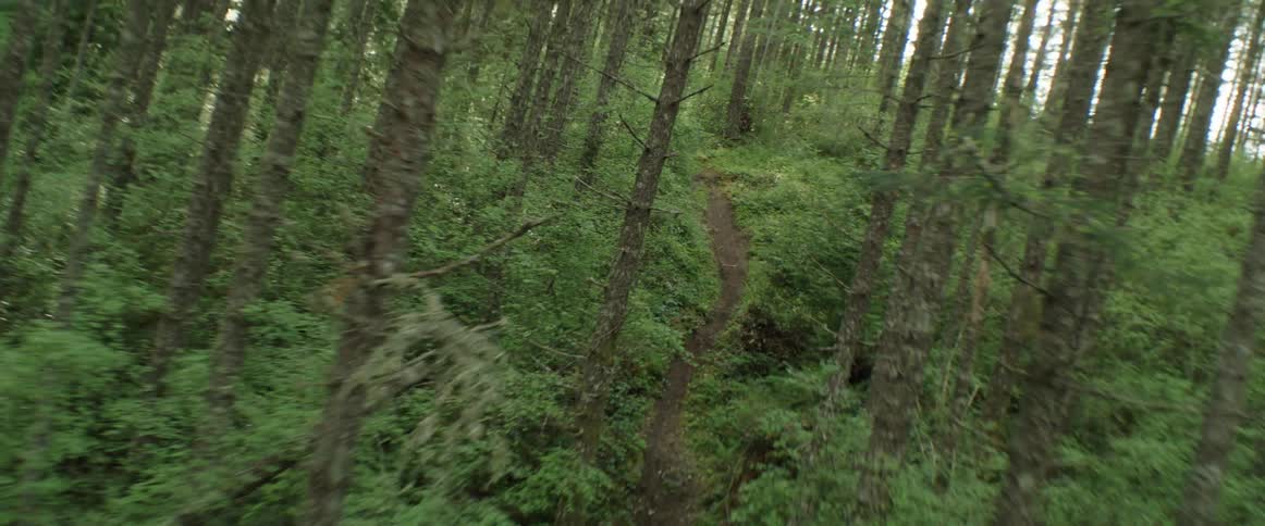 A high-speed aerial view of a forest and dirt path