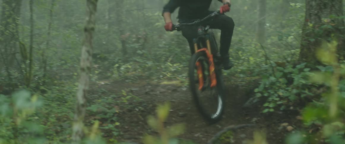 A cyclist rides a bicycle along a dirt trail through a forest at high speed during the foggy day