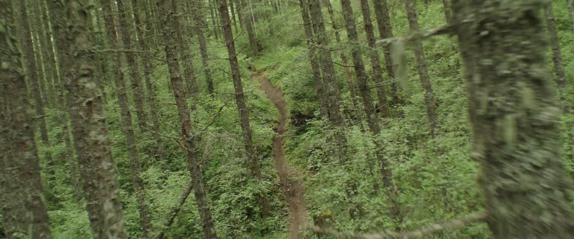 Person wearing helmet rides bicycle down dirt trail ribbon through forest with heavy undergrowth