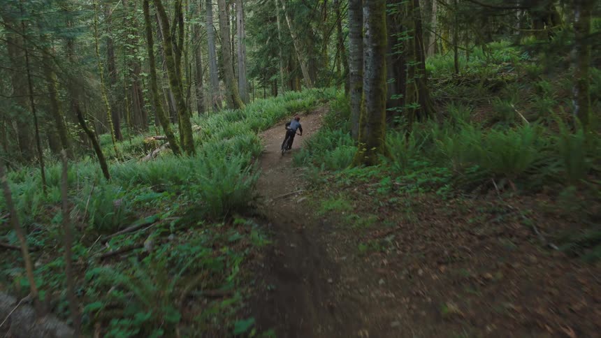 Bicyclist wearing helmet rides bike quickly along dirt path through forest