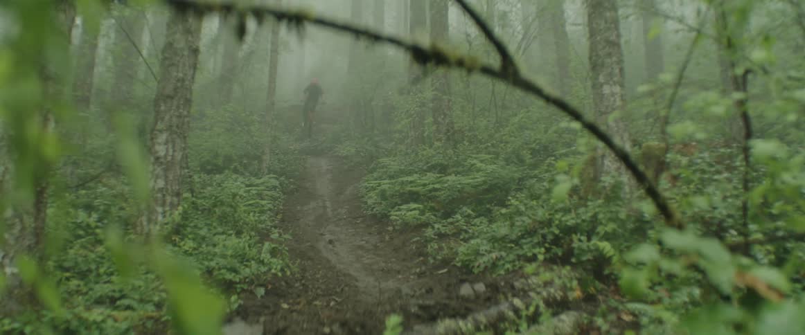 A mountain bike athlete drops trail and hits a corner riding in lush foggy forest