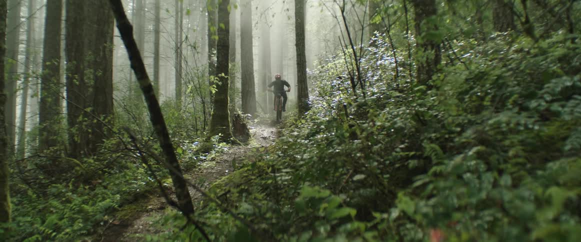 A person riding a mountain bike towards camera on a forest trail with foggy sun beams