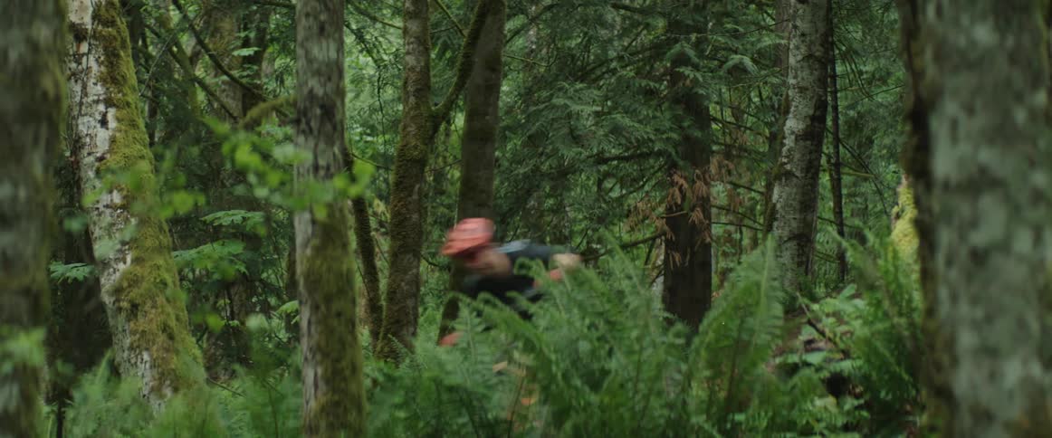 A view of a person jumping a mountain bike in a forest through the ferns