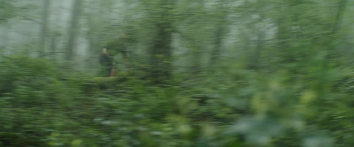A mountain bike rider races across the ground as he rides through a trail in the foggy forest
