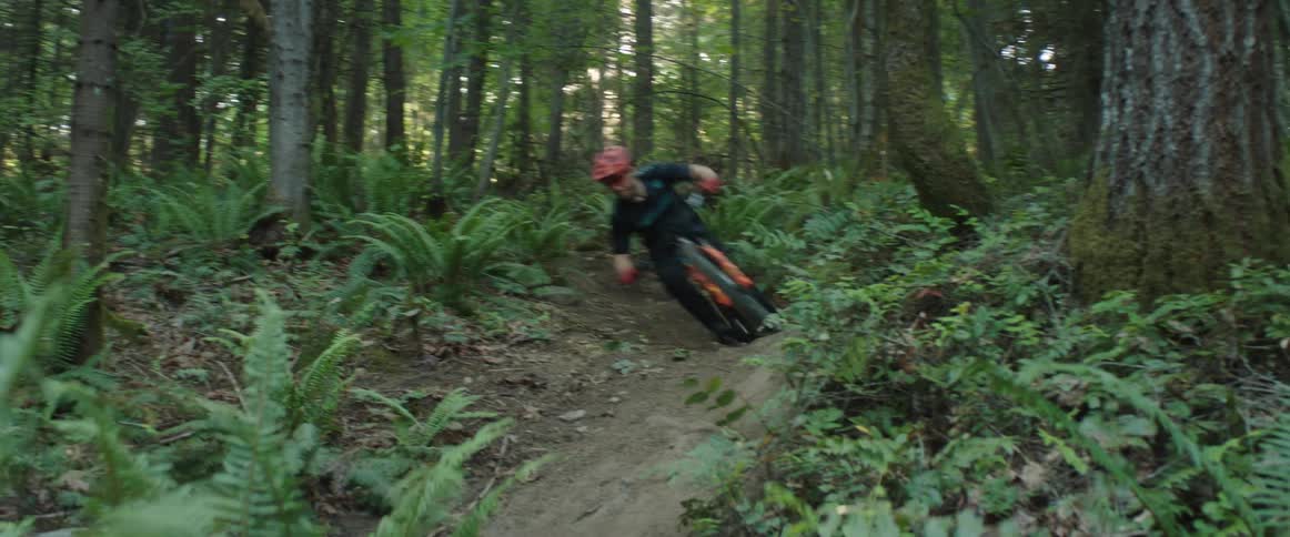 A mountain cyclist speeds down a winding dirt trail through a forest during the day