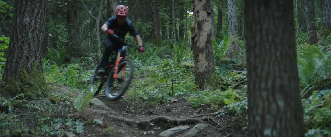 A man with a helmet riding a mountain bike in a forest over roots and rocks