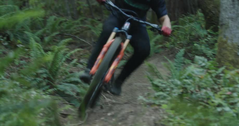 A man riding a mountain bike over a bumpy dirt trail in a forest
