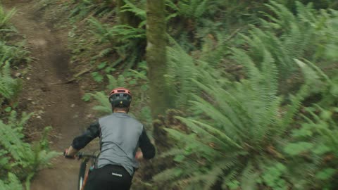 A man on a mountain bike races down a technical trail through a ferny forest