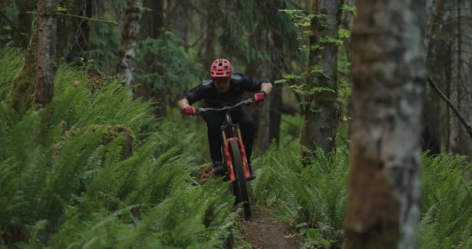 A cyclist rides a bicycle at high speed towards the camera on a ribbon of trail through the ferns