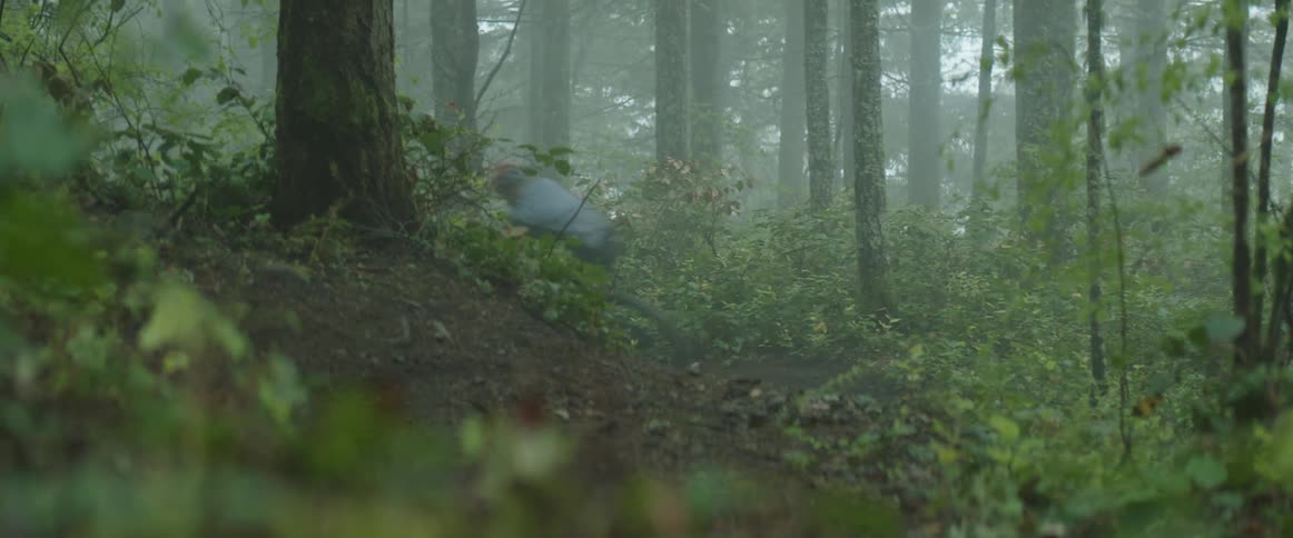 A person riding a bike cuts back and forth on a trail through a forest