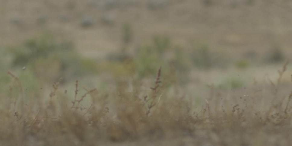 A set of wheels rolls over a field