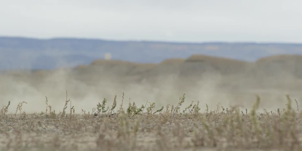 Bottom view of a small yellow airplane taking off in a desert