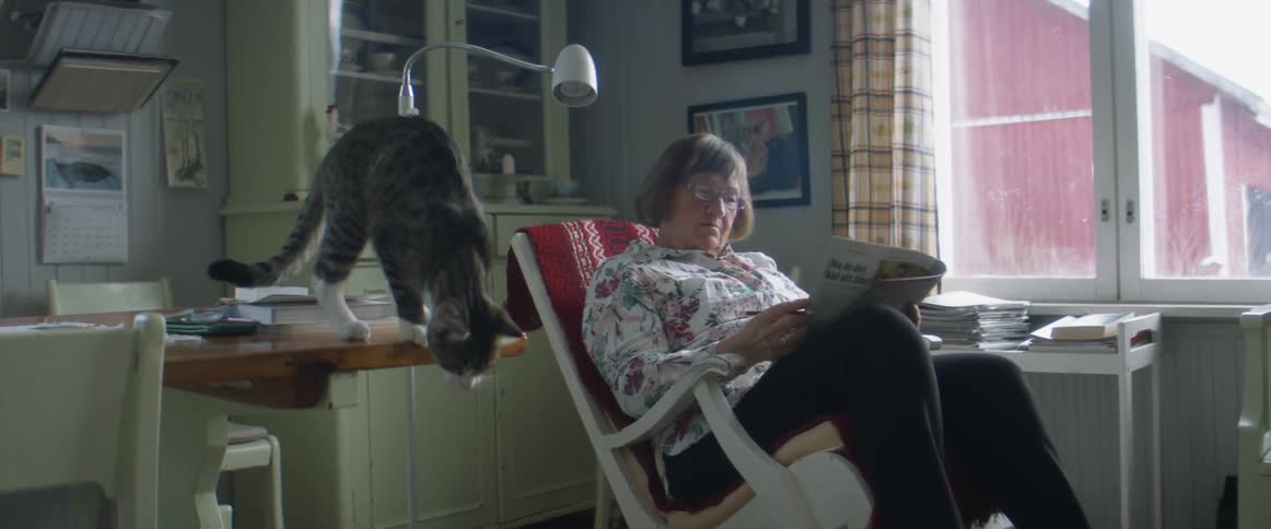 A woman sitting in a room relaxing with a cat